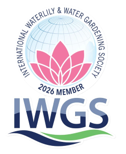 iwgs2026.webp